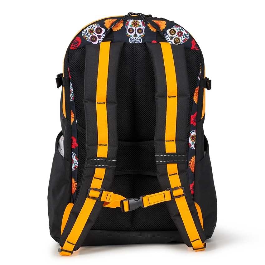 Ogio Alpha 20L Backpack | BXVI-64290