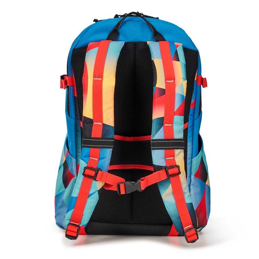 Ogio Alpha 20L Backpack | CFUH-18732