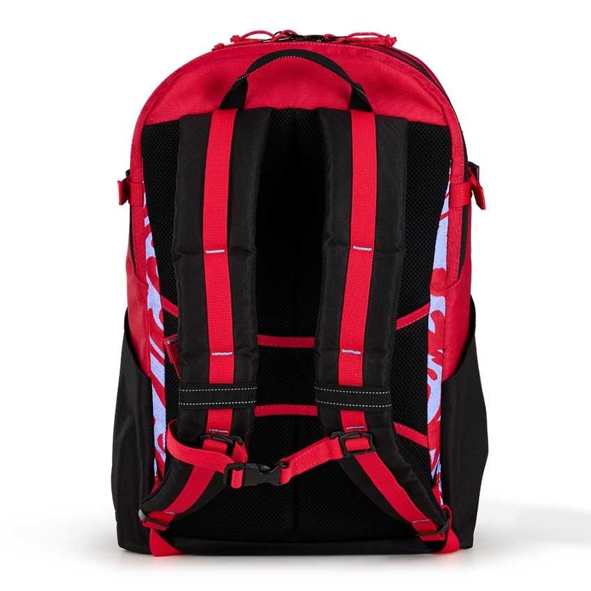 Ogio Alpha 20L Backpack | LGPK-75638